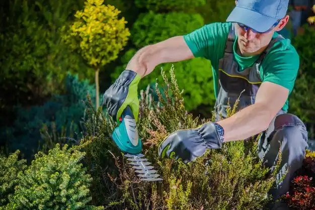 landscaping services Star Lake